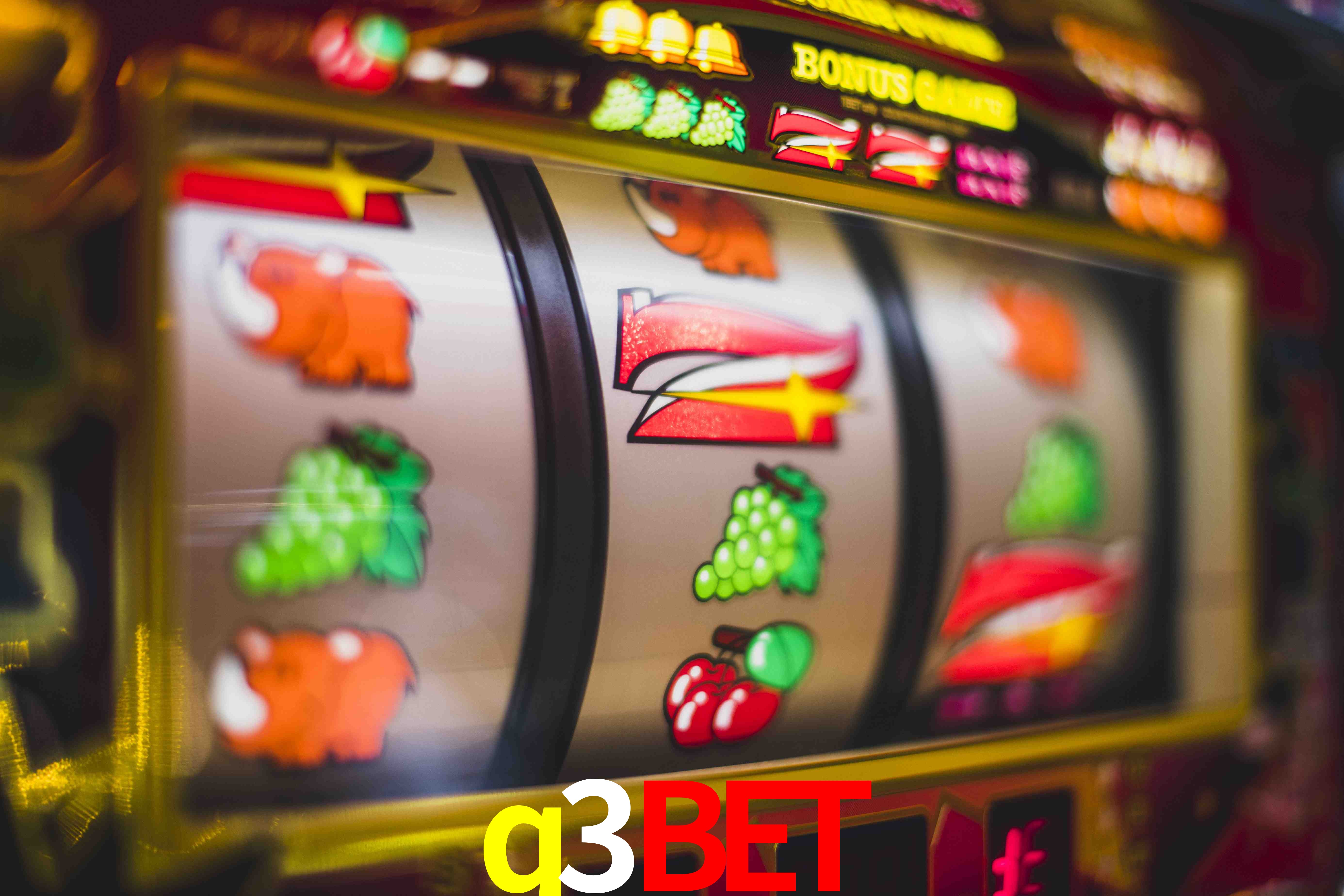 Experiência VIP q3bet